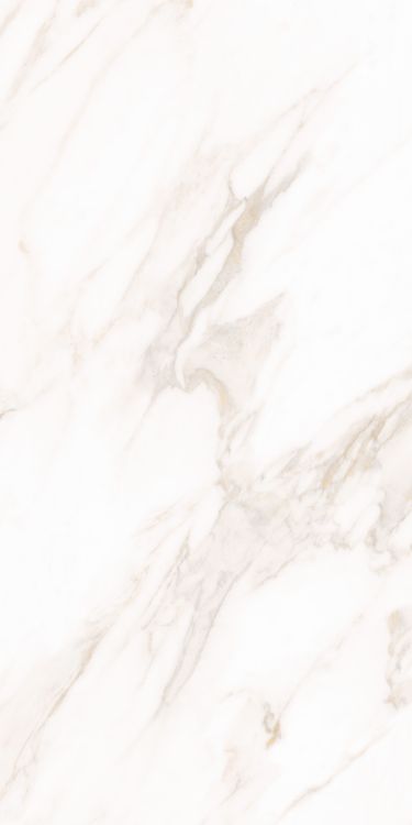 Classy Warm White Matte 24 x 48